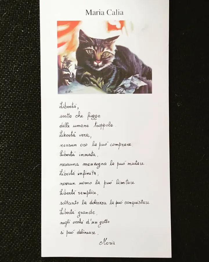 «Libertà», una mia vecchia poesia
