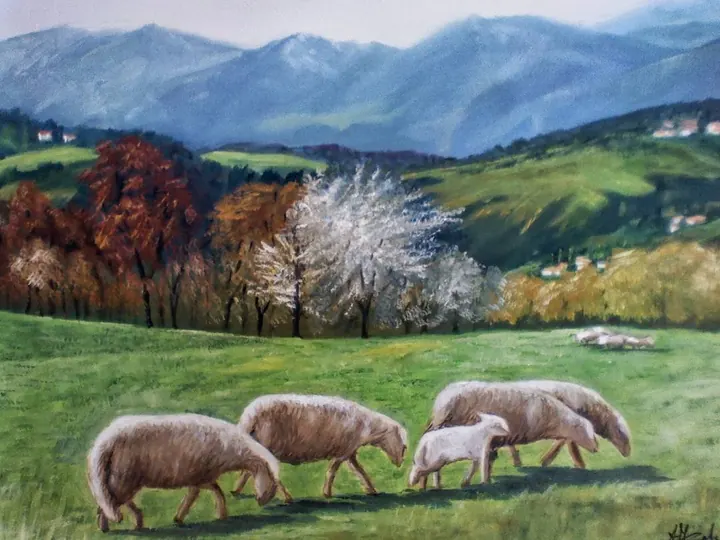 Pecore al pascolo
